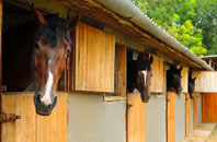 free Red Lumb stable construction quotes